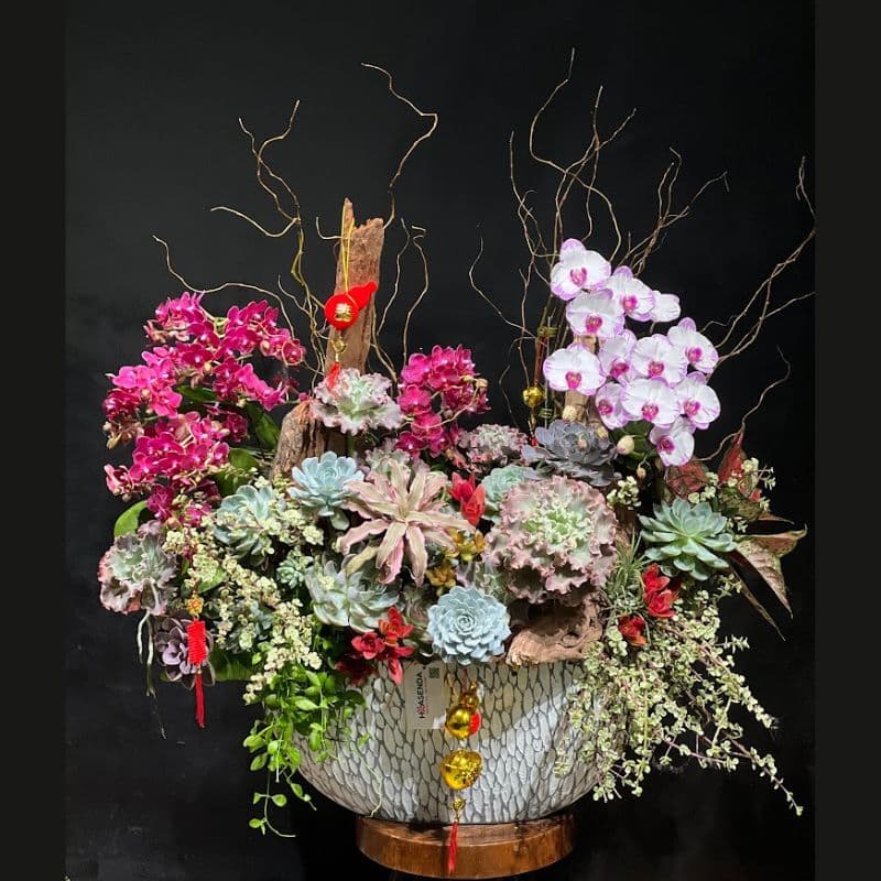 Hoa sinh nhật & quà tặng