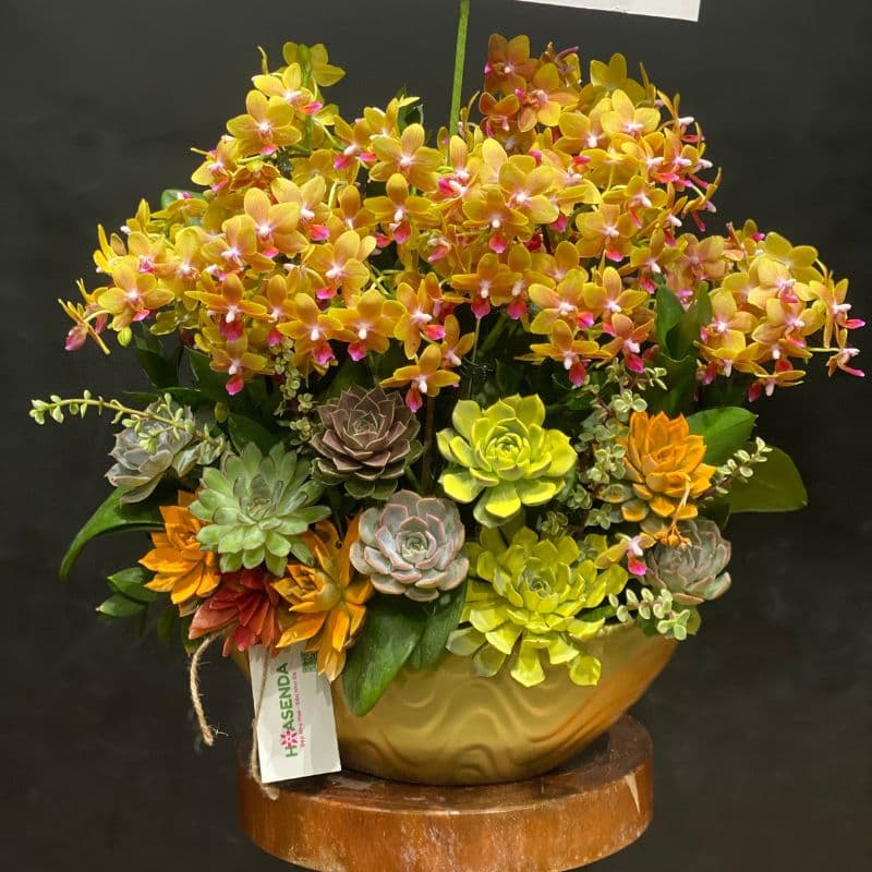 Hoa khô & Pressed Flowers